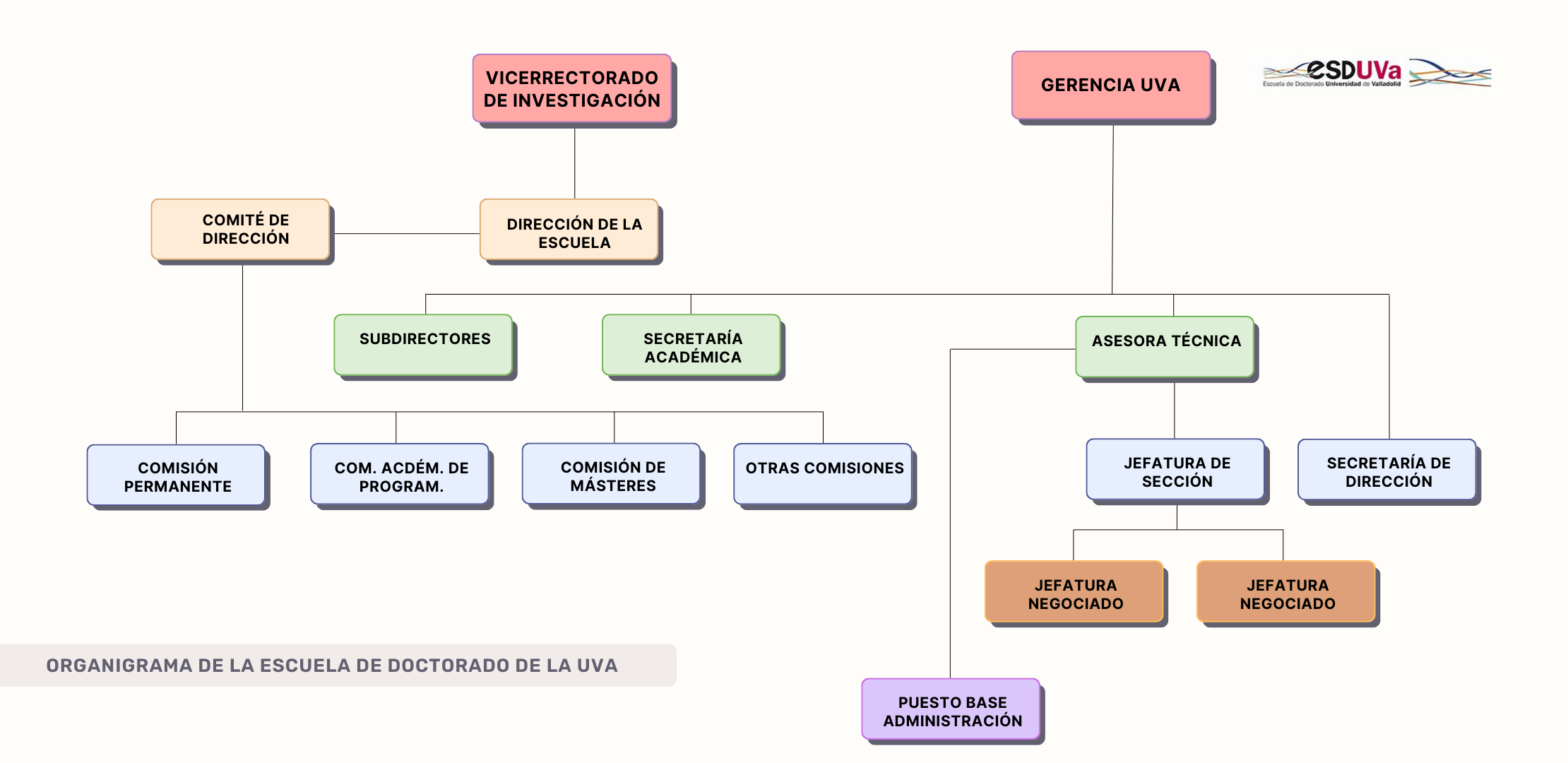 Organigrama Escuela de Doctorado
